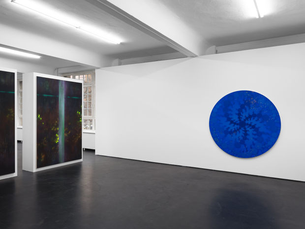 Dieser Viewing Room begleitet die erste Einzelausstellung von Natacha Donzé bei max goelitz in Berlin. In gatekeepers verweist die Künstlerin auf politische, soziale und...