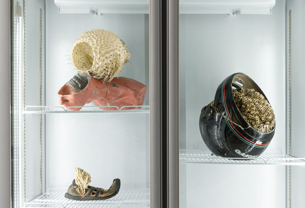 Der K&uuml;hlschrank steht hier f&uuml;r ein Ordnungssystem, ein Bereich der Regulierung, in dem verschiedene Elemente und ungeordnete Prozesse koexistieren k&ouml;nnen....