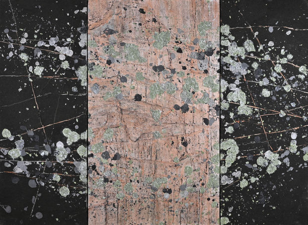 ED BARTRAM, Lichen Rock, c. 2019