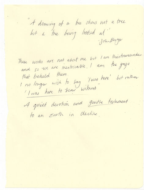 'A drawing of a tree shows not a tree but a tree being looked at' John Berger These works are...