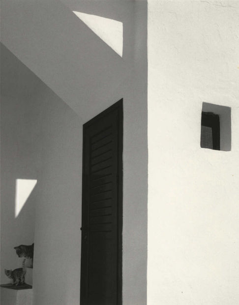 THE POWER OF PHOTOGRAPHY DLVI, Sikinos, Greece (two cats), 2015