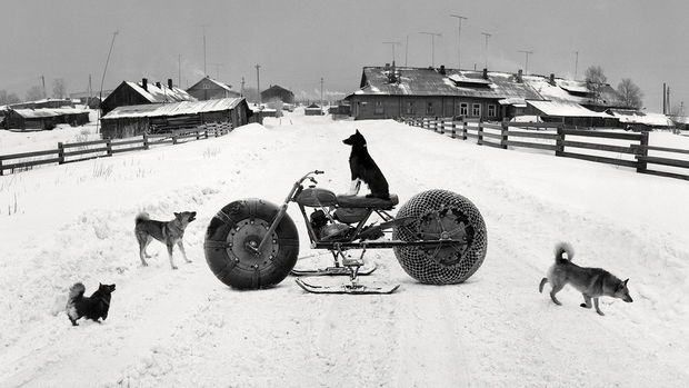 THE POWER OF PHOTOGRAPHY DXCI, Solovki, White Sea, Russia (Dog on motorbike), 1992