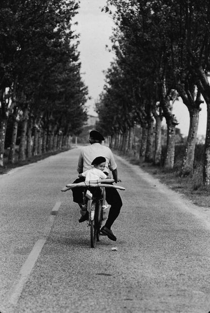 THE POWER OF PHOTOGRAPHY CCXX, Provence, France, 1955