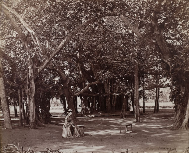 THE POWER OF PHOTOGRAPHY CDLII, Samuel Bourne's Wife, Calcutta, c. 1865