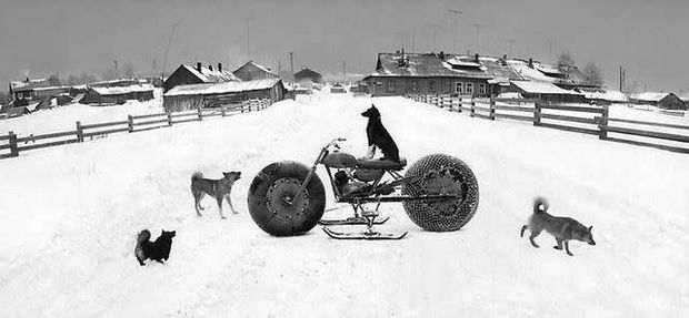 Pentti Sammallahti, Solovki, White Sea, Russia (Dog on motorbike), 1992 (Printed Later)