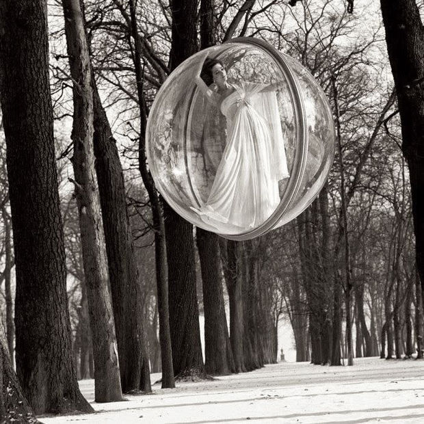 THE POWER OF PHOTOGRAPHY CDXXXI, In Trees, Paris, 1963
