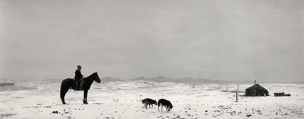 Pentti Sammallahti, Ulug-Khem, Tuvva, Siberia, (1 Horse and 2 Dogs in snow), 1997/ printed later