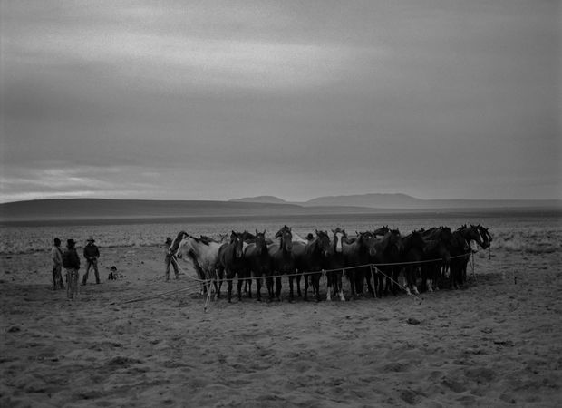 THE POWER OF PHOTOGRAPHY CDLXIII, Ranch, Paisley, Oregon, 1982