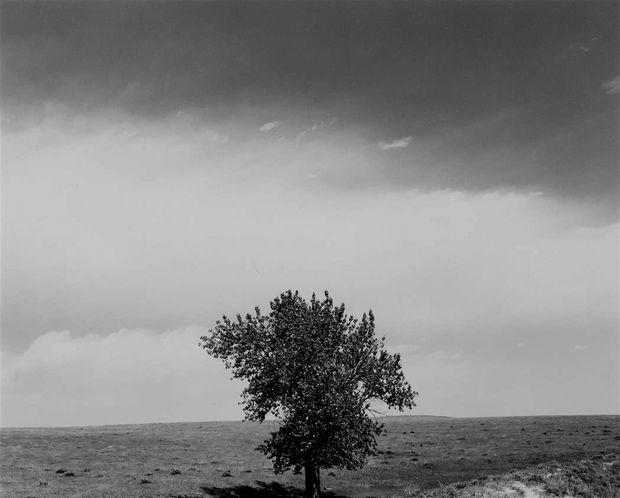 Robert Adams, ”Pawnee National Grassland, Colorado, 1984”, Printed 1992