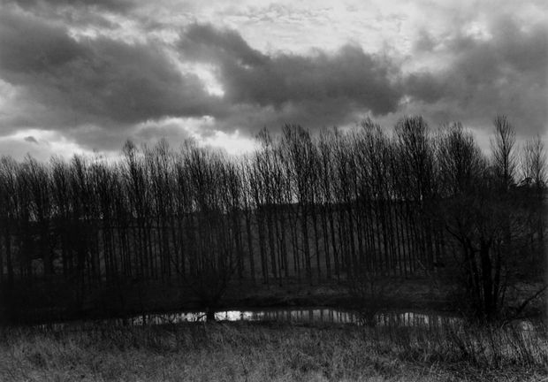 Don McCullin, The River Thame in Somerset, 1990