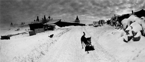 Pentti Sammallahti, Solovki, White Sea, Russia (Dog with Bag), 1992 (Printed Later)