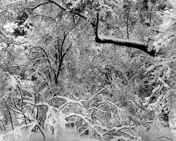 THE POWER OF PHOTOGRAPHY DXXXIX, Fresh Snow, Yosemite Valley, California, 1947