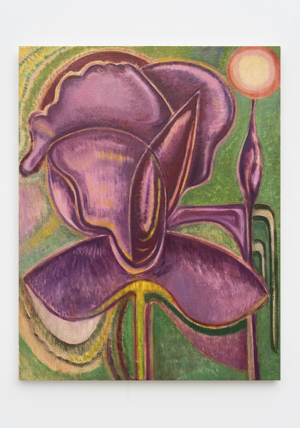 Laurie Nye 'Black Orchid,' 2020 Oil on linen 20 x 16 in 50.8 x 40.6 cm
