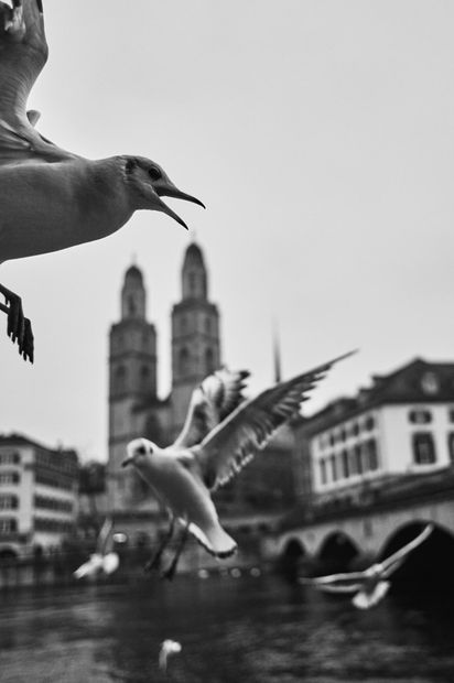 Leica , Rangefinder Routes: Zurich with Phil Penman