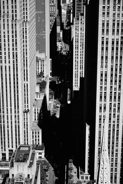 How do you see your future in the city ?