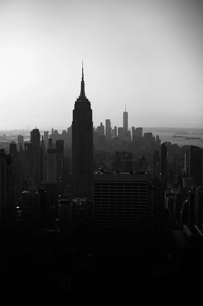 TESTIMONIAL, Reza Toghraee