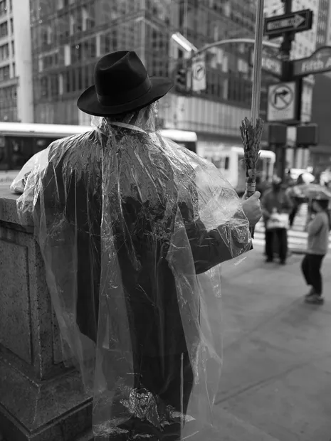 TESTIMONIAL, Mara Fernandez