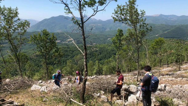 About Tracy Mackenna & The Museum of Loss and Renewal