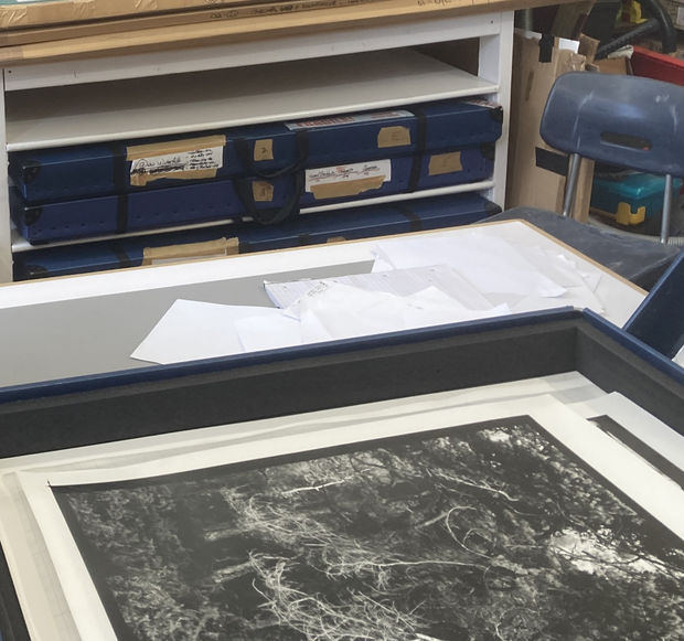 There is a big difference between migration which is, I believe, a natural compulsion, as opposed to immigration which I...