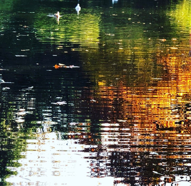 01.11.19 Art Thought 3, The magic of autumn