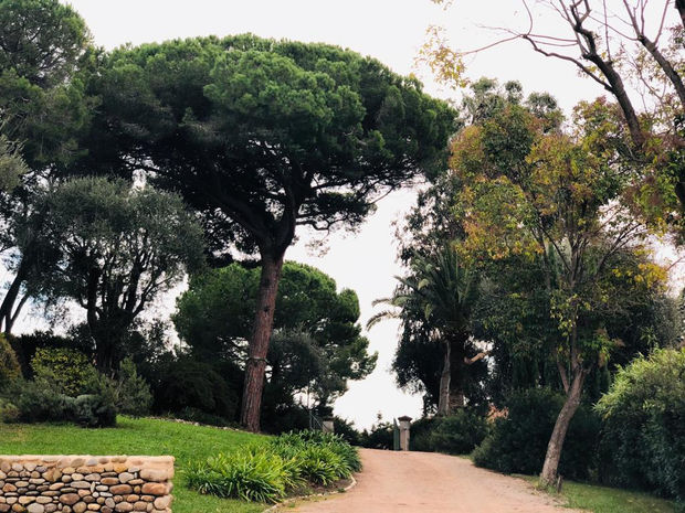 My Art Travels (3/3), 24.11.19 Art Thought #9