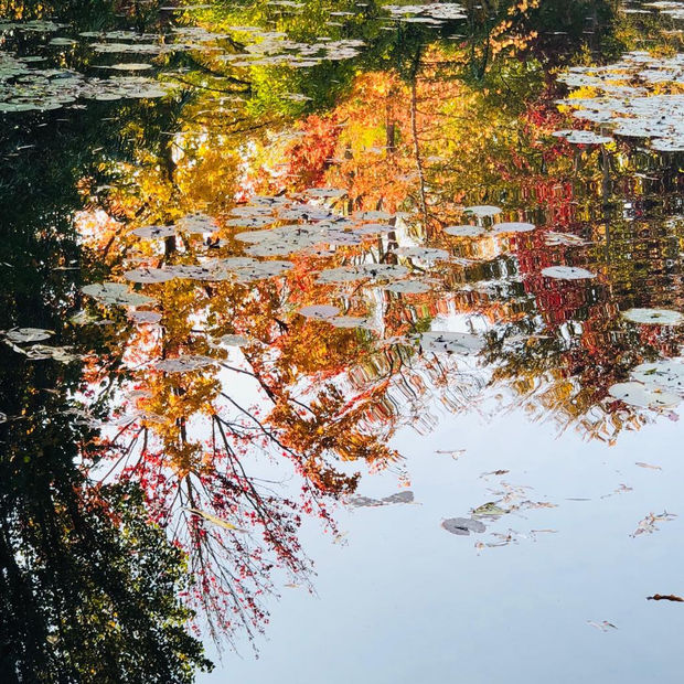 My Art Travels (3/3), 24.11.19 Art Thought #9