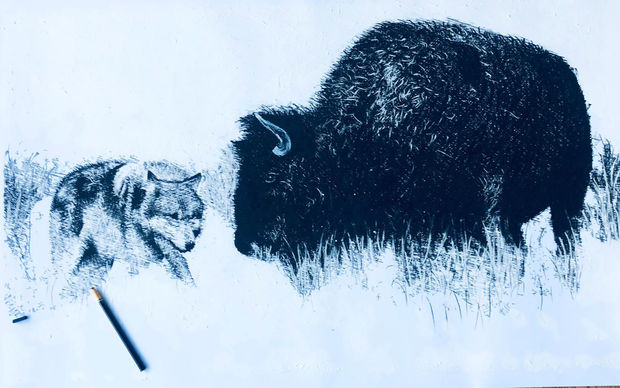 Bulls & Bison, 09.01.19 Art Thought #16
