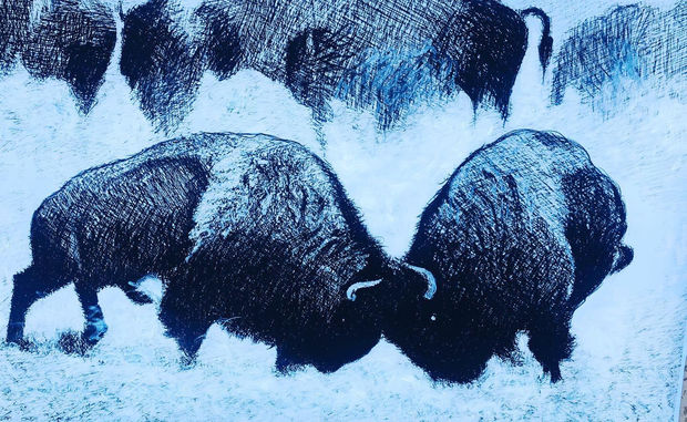 Bulls & Bison, 09.01.19 Art Thought #16