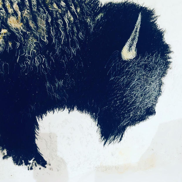 Bulls & Bison, 09.01.19 Art Thought #16