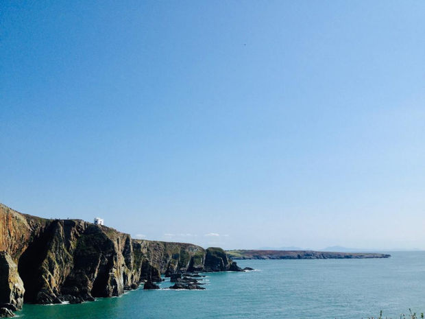 Bobby The Seagull, 21.01.20 Art Thought #17