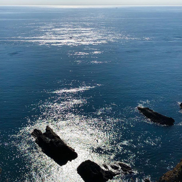 Bobby The Seagull, 21.01.20 Art Thought #17