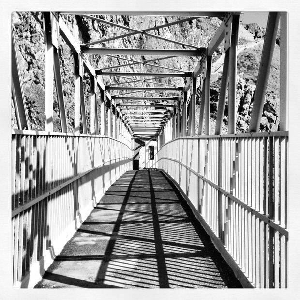 Bobby The Seagull, 21.01.20 Art Thought #17