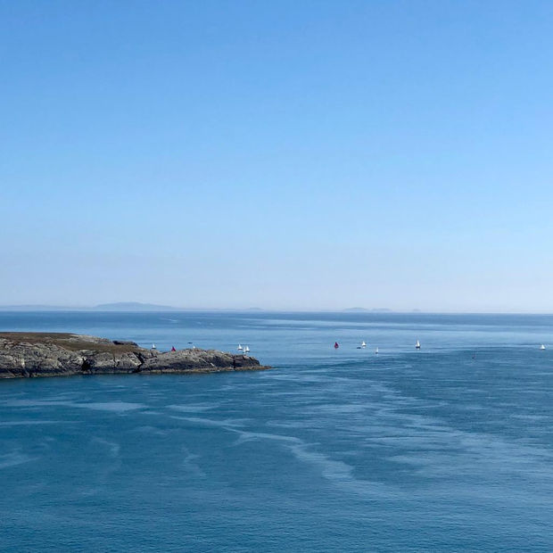 Bobby The Seagull, 21.01.20 Art Thought #17