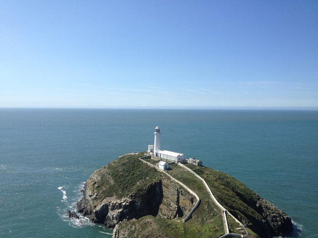 Bobby The Seagull, 21.01.20 Art Thought #17