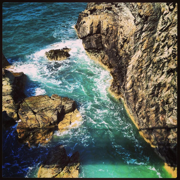 Bobby The Seagull, 21.01.20 Art Thought #17