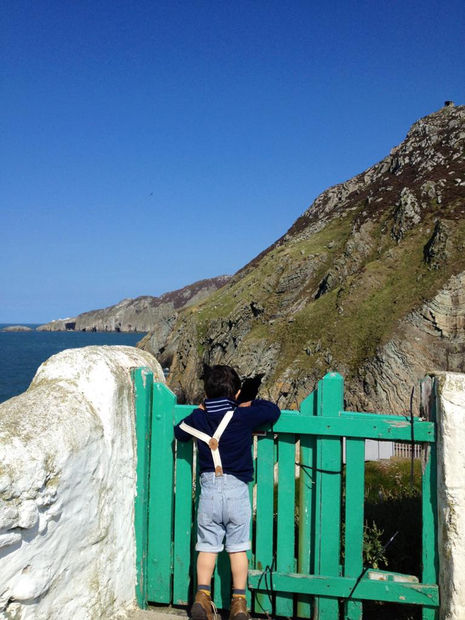 Bobby The Seagull, 21.01.20 Art Thought #17