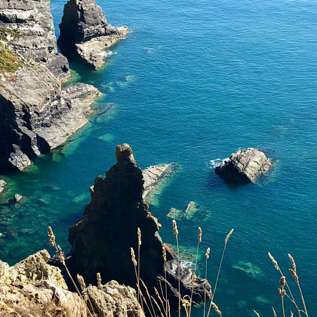 Bobby The Seagull, 21.01.20 Art Thought #17