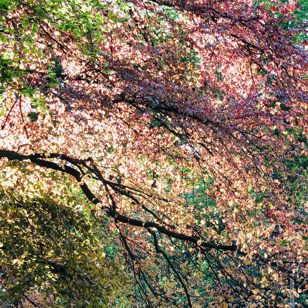 How does a painting happen? , 03.05.20 Art Thought #20