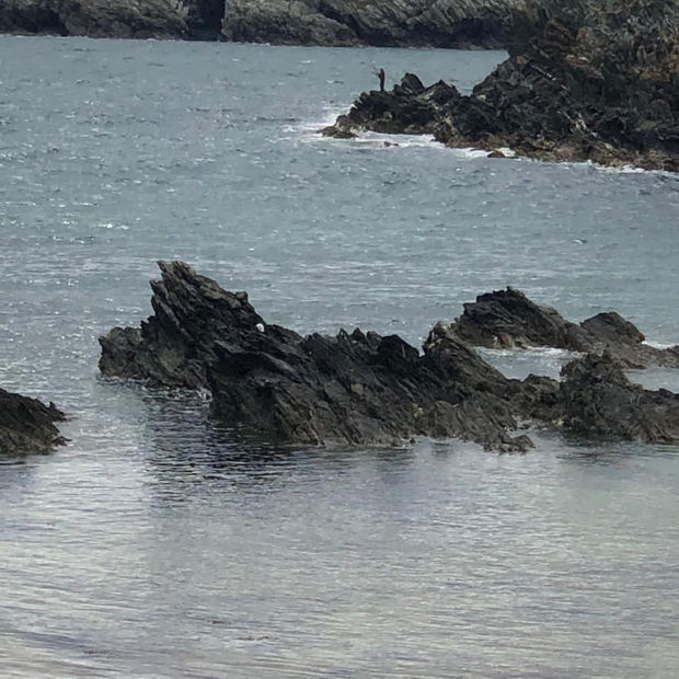 Seascapes, 15.11.20 Art Thought #24