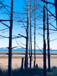 Seascapes, 15.11.20 Art Thought #24