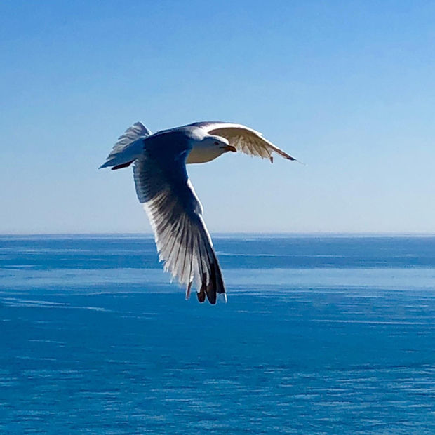 Seascapes, 15.11.20 Art Thought #24