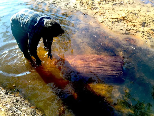 JOE GUYMALA PREPARING A BARK FOR PAINTING
