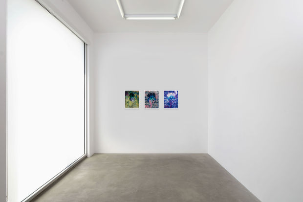 install view lisa oppenheim