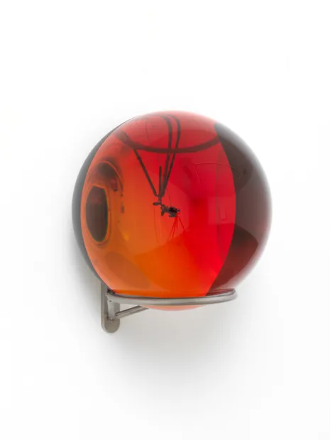 Olafur Eliasson's sculpture.