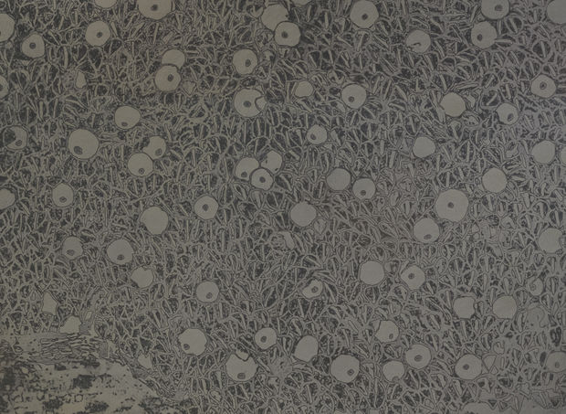 Lisa OPPENHEIM Goldener Apfelbaum, 1903/2024 2024 Silver gelatin photograph exposed to firelight