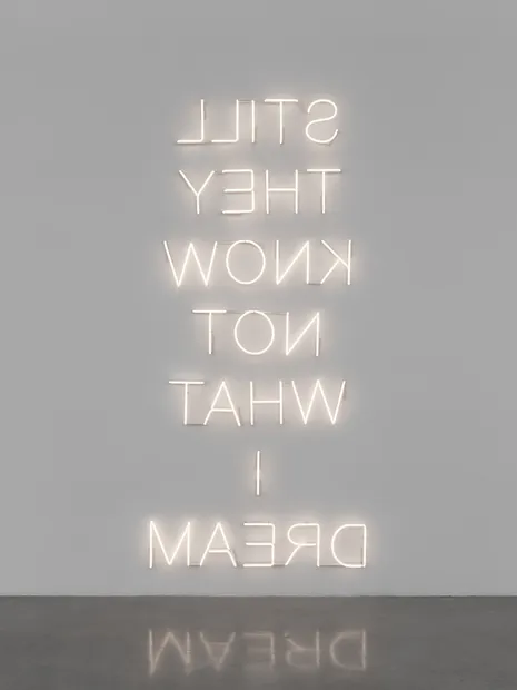 Shilpa Gupta's sculpture.