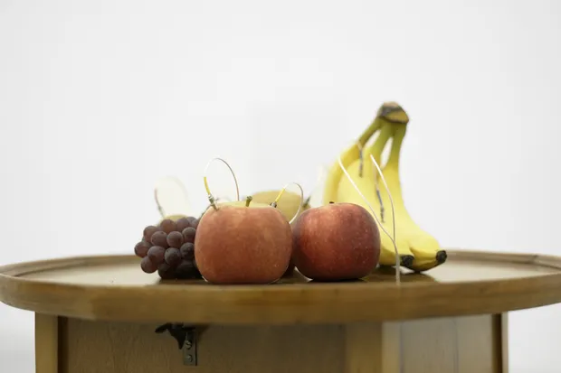 Yuko Mohri, Decomposition, 2024 detail