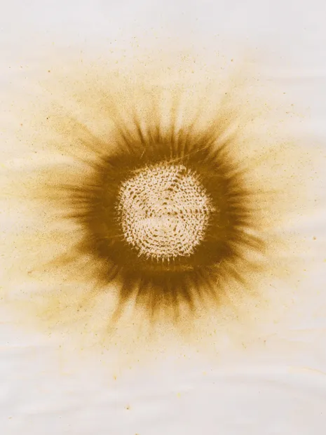 Neto spice drawing detail