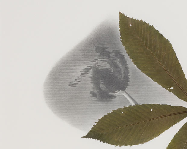 detail of peggy preheim drawing