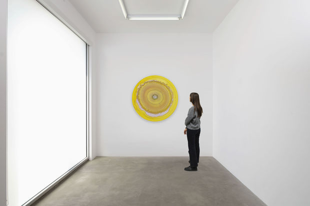 scale image of olafur eliasson painting